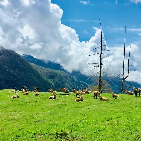 公寓 Montaz And Sauna *