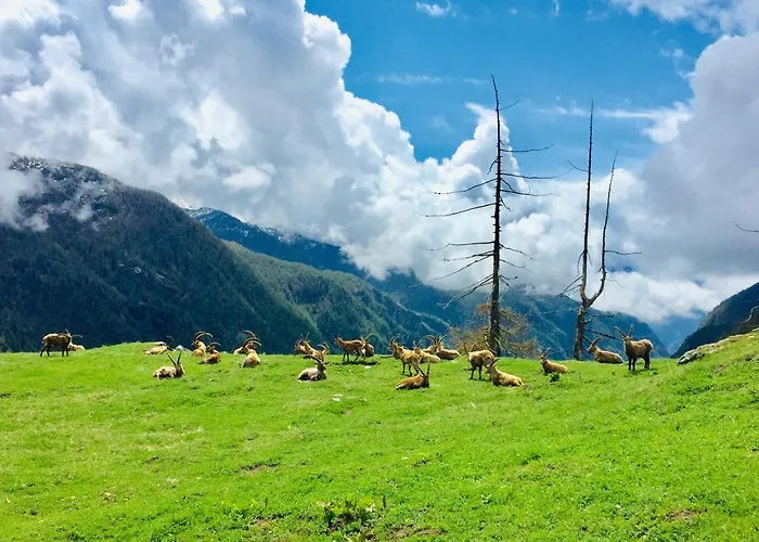 Apartment Montaz And Sauna *